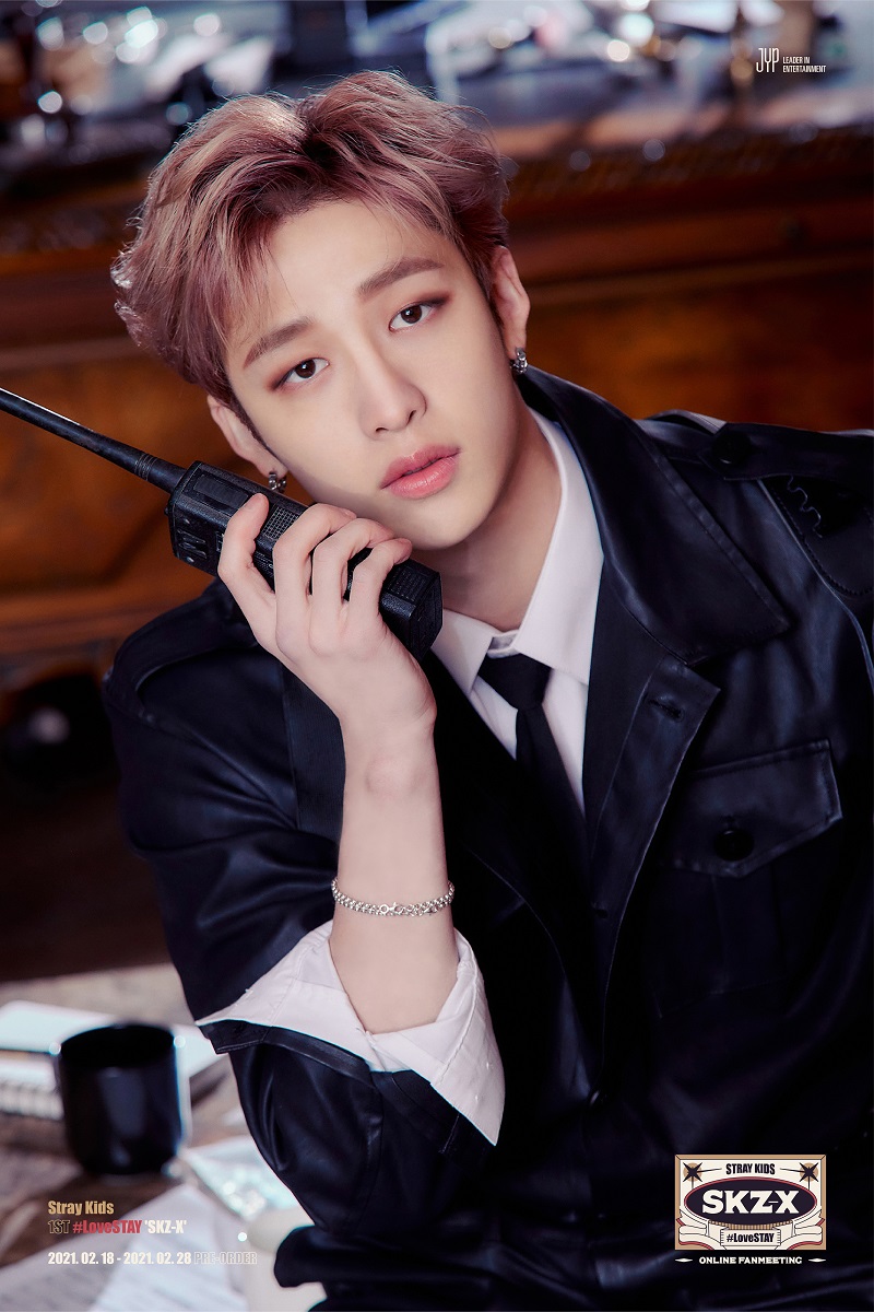Stray Kids : Notice
