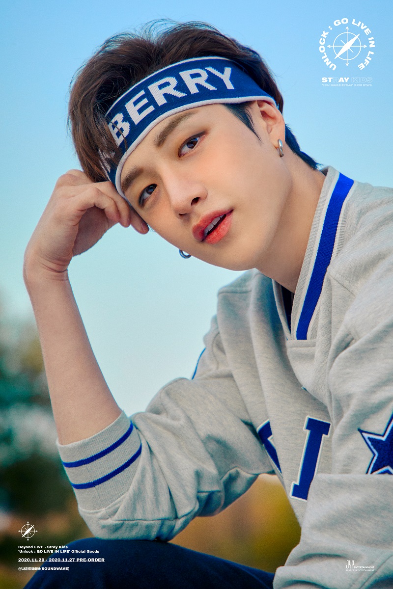 Stray Kids : Notice