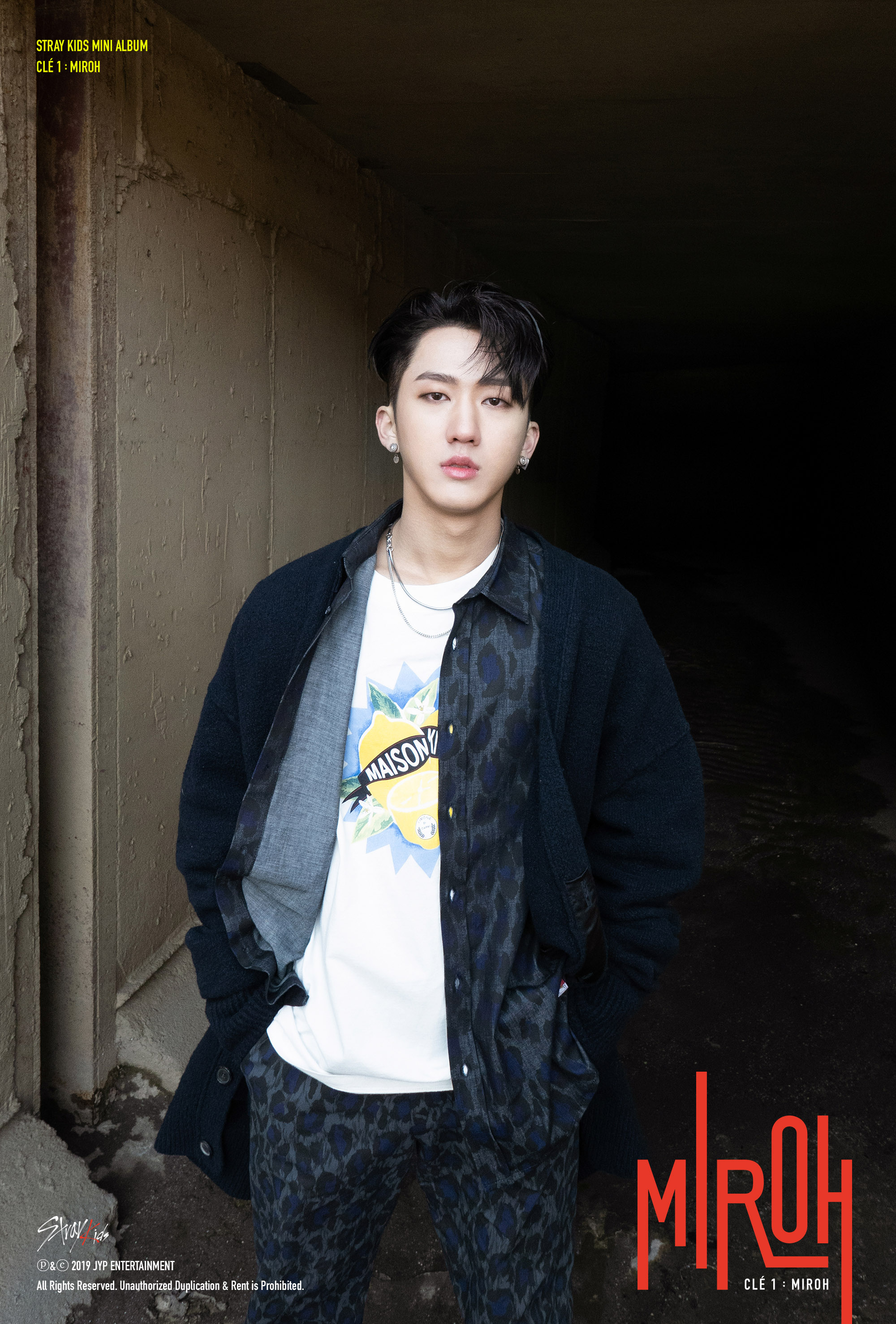 Stray Kids : Notice