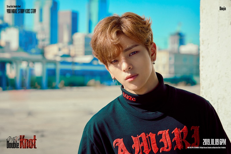 Stray Kids : Notice